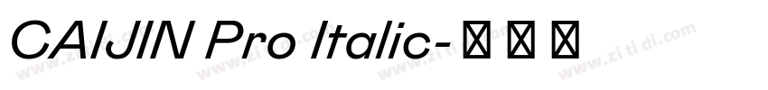 CAIJIN Pro Italic字体转换 CAIJIN Pro Italic字体转换